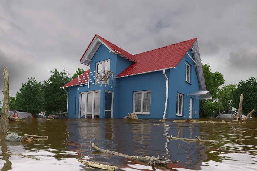 Flood Insurance Options